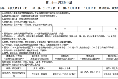 第十一周计划